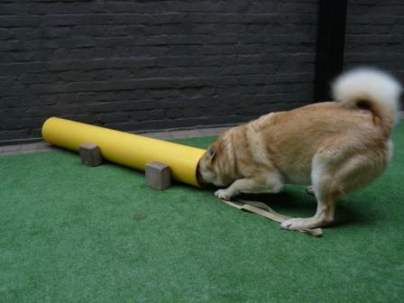 zoekspelletjes