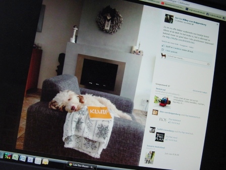 kluif cela den biesen