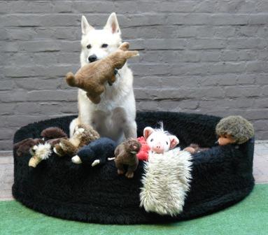 knuffelparade