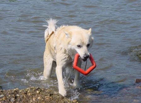 waterspelletjes