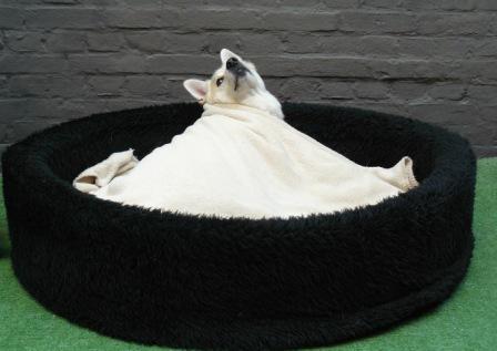 bedtijd