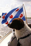 onze wetterhoun