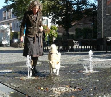 hondenspelletjes