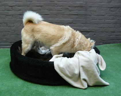 pluche mand