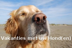 vakantie met je hond
