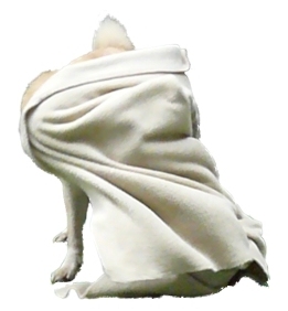 verstoppertje 