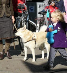 op stap met hond
