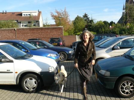 hond en verkeer