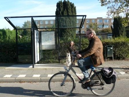 hond met de bus