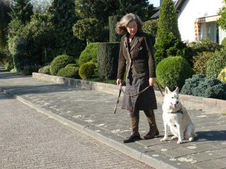 verkeersveilige hond