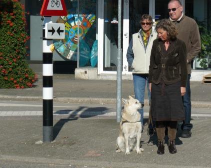 wachten hond