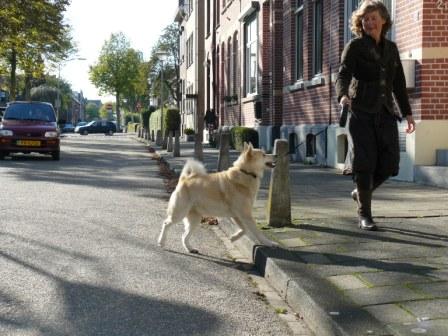 hond op de stoep