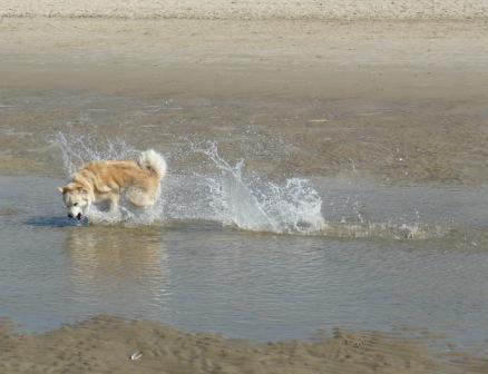 waterspelletjes