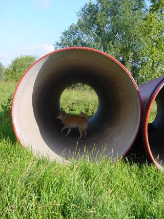 onderwegspelletjes