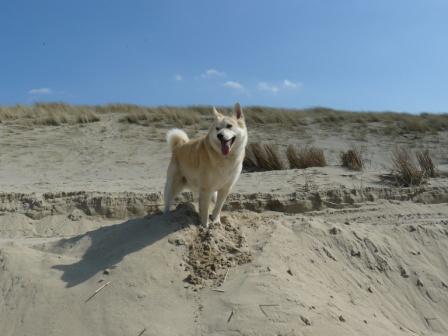 baywatch