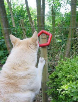 in de tuin spelen