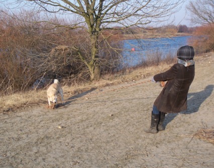 touwtrekken hond